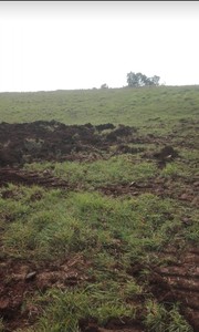 T/141 Terreno agricolo località Terzi Image 2