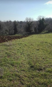 T/141 Terreno agricolo località Terzi Image 1