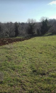 T/141 Terreno agricolo località Terzi Image 3