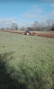 T/141 Terreno agricolo località Terzi Image 4
