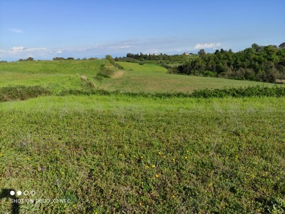 T/157 Terreno loc. Terzi Image 1