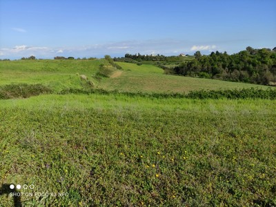 T/157 Terreno loc. Terzi Image 2