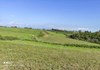 T/157 Terreno loc. Terzi Image 3