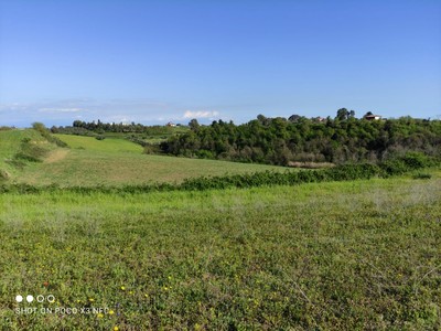T/157 Terreno loc. Terzi Image 5