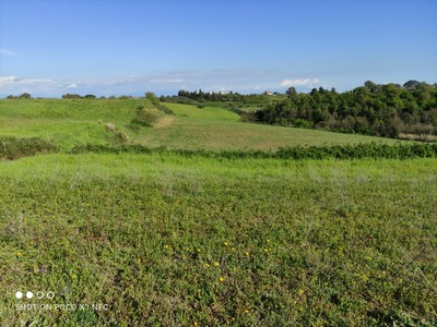T/157 Terreno loc. Terzi Image 6