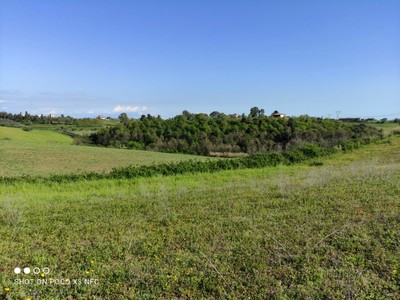 T/157 Terreno loc. Terzi Image 7