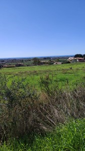 T/168 Terreno agricolo Image 2