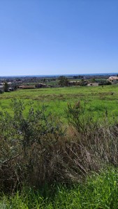 T/168 Terreno agricolo Image 1