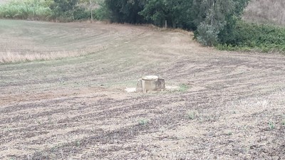 T/173 terreno via doganale Image 3