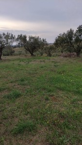 T/176 Terreno Via Castel Campanile Image 2
