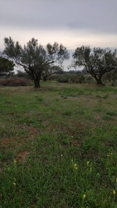 T/176 Terreno Via Castel Campanile Image 4