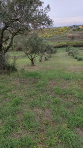 T/176 Terreno Via Castel Campanile Image 6
