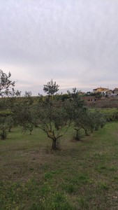 T/176 Terreno Via Castel Campanile Image 9