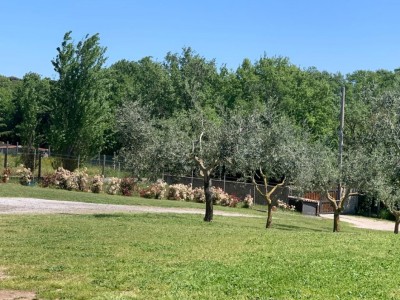 V/278 Villa predisposta per due unità Image 2