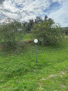 T/191 terreno Borgo San Martino Image 7