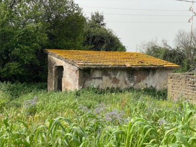 T/198 Due Casette Terreno agricolo Image 3