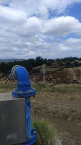 T/207 terreno agricolo Image 4
