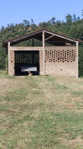 V/295 Casale con terreno Image 7