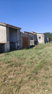 V/295 Casale con terreno Image 8