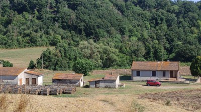 V/295 Casale con terreno