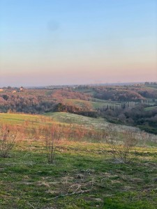 T/212 terreno con doppio accesso Image 3