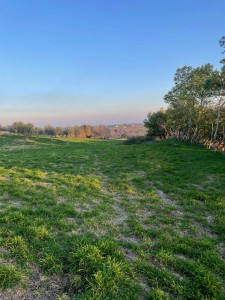 T/212 terreno con doppio accesso Image 8