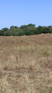 T/187 monte abbadone Image 1