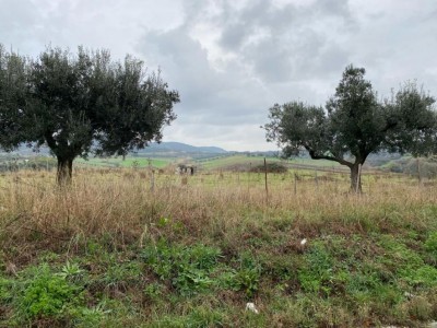 T/194 colli di cornacchiola Image 4