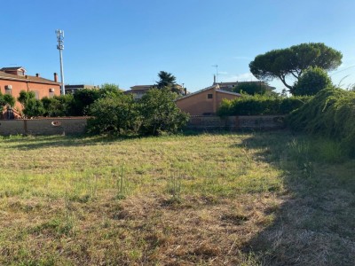 T/215 terreno in affitto Image 3