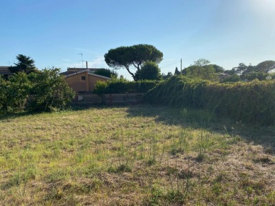 T/215 terreno in affitto Image 1