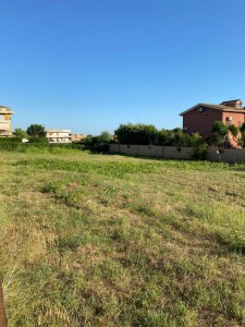 T/215 terreno in affitto Image 2
