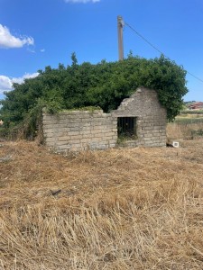 T/213 Terreno con casaletto Image 1