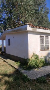 T/214 terreno con fabbricati Image 3