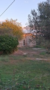 V/304 unifamiliare San Paolo Image 4