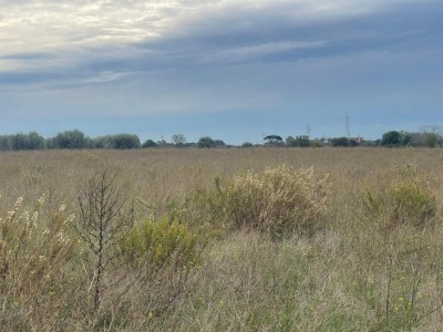 T/217 zona san paolo Image 6