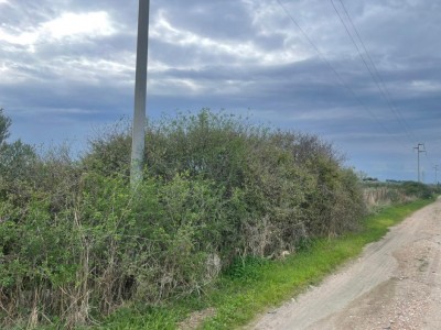 T/217 zona san paolo Image 7