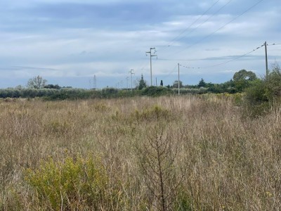 T/217 zona san paolo Image 8