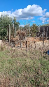 T/218 terreno loc. Centocorvi Image 5