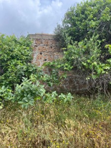 T/203 terreno a due passi dal paese Image 9