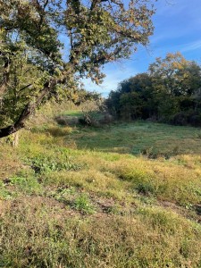 T/219 cerveteri terreno Ponte Coperto Image 6