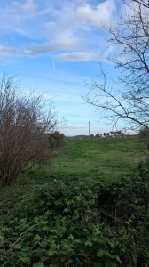 T/224 terreno Image 3