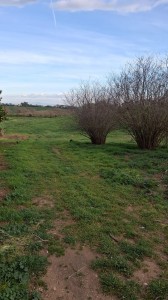 T/224 terreno Image 5