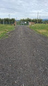 T/227 terreno agricolo Image 7