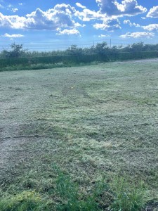 T/228 terreno edificabile Image 3