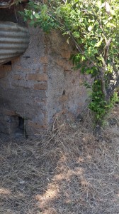 T/229 terreno con magazzino e vigneto Image 11