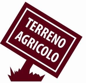 T/230 terreno adiacente aurelia Image 2