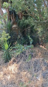 T/233 terreno con c/2 Image 8