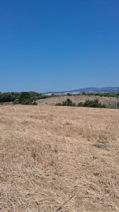 T/233 terreno con c/2 Image 5