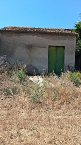 T/233 terreno con c/2 Image 3