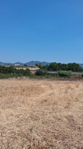 T/233 terreno con c/2 Image 2